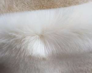 皮草可以用水洗嗎？貉子毛領(lǐng)怎么清洗？